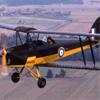 Tiger Moth